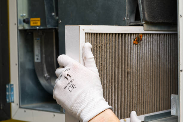Best HVAC Maintenance and Cleaning  in Laguna Heights, TX